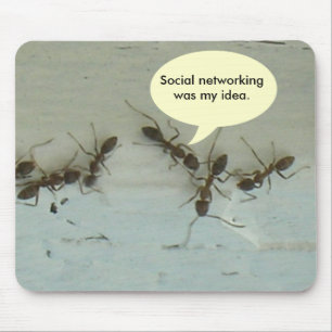 Mousepad - A rede social foi a minha ideia.