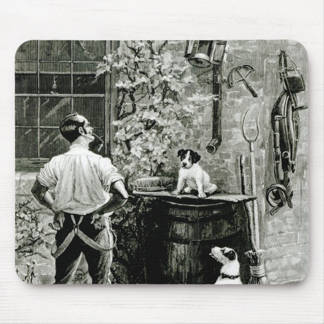 Mousepad A sobrevivência do mais apto (Frente)