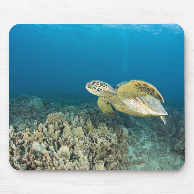 Mousepad A Tartaruga Verde (Chelonia mydas) é a 3 (Frente)