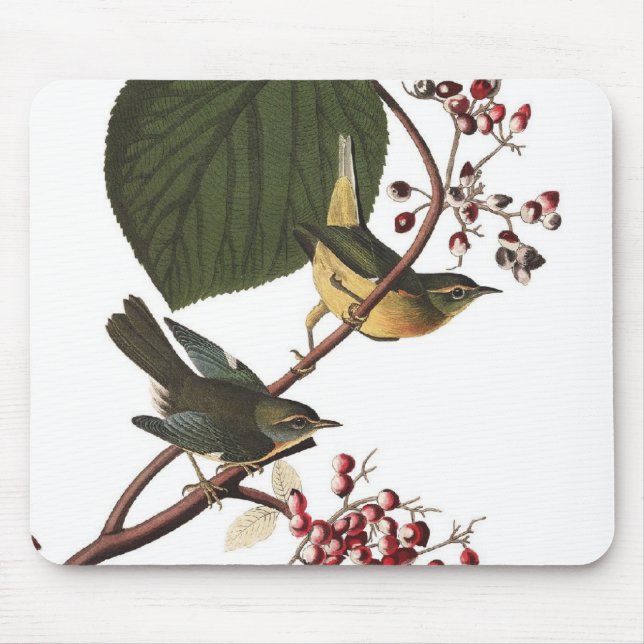 Mousepad A toutinegra extra de Audubon (Frente)