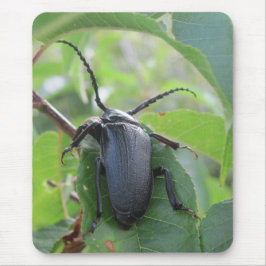 Mousepad A viagem de um besouro