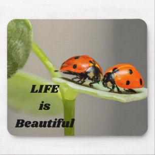Mousepad A vida é bela - Ladybug