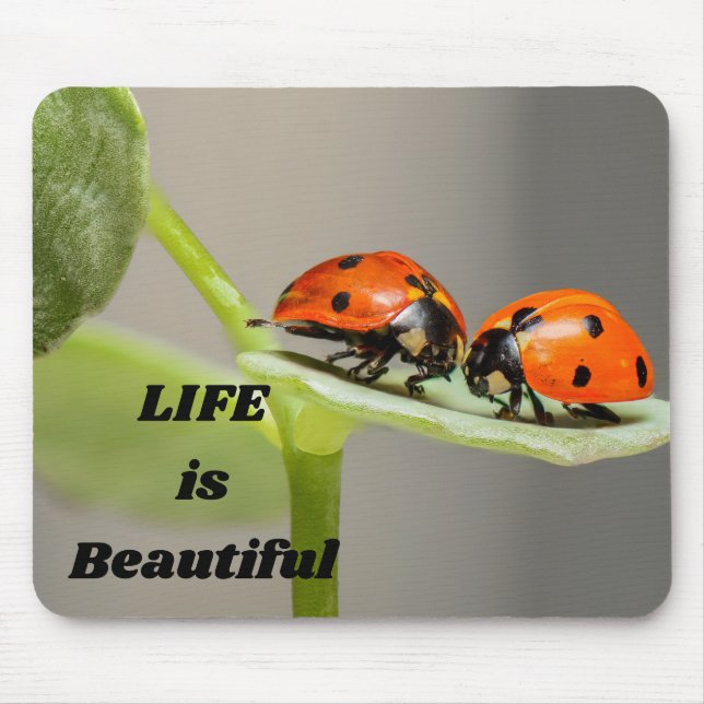 Mousepad A vida é bela - Ladybug (Frente)