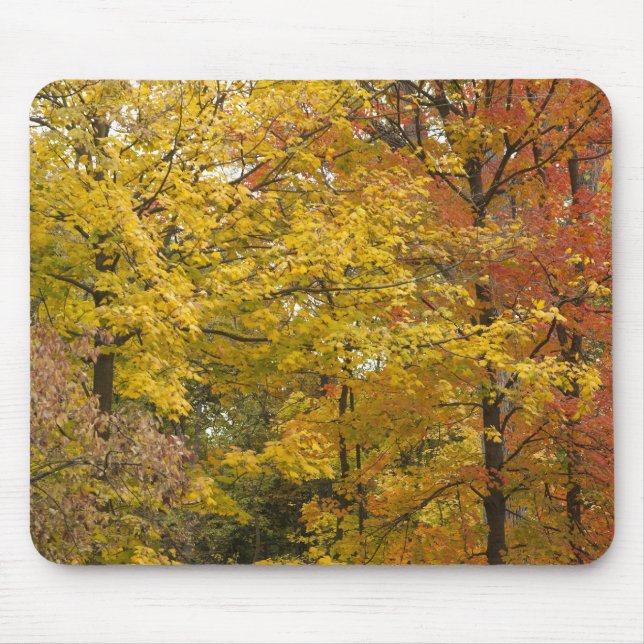 Mousepad aaa (Frente)