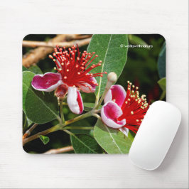 Mousepad Abacaxi Guava / Flores de Guavasteen
