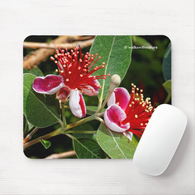 Mousepad Abacaxi Guava / Flores de Guavasteen (Com mouse)