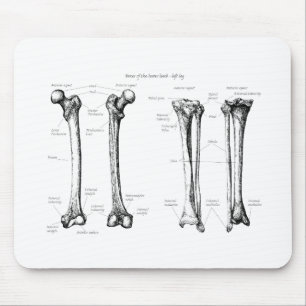 Mousepad Abaixe o cinza do membro