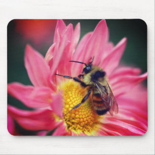 Mousepad Abelha-Bumble Na Flor-Daisy Rosa