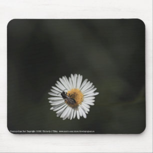 Mousepad Abelha Cosmopolita