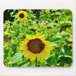 Mousepad Abelha de girassol amarelo