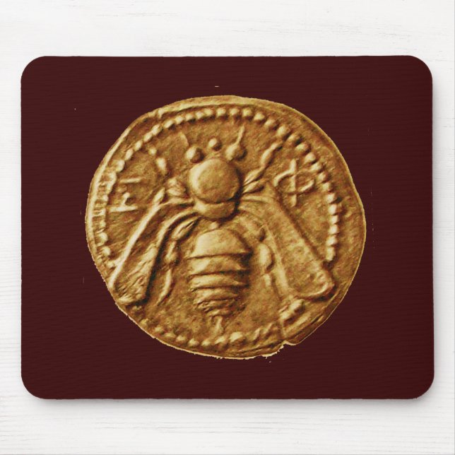 MOUSEPAD ABELHA DE MEL/APIARISTA DE CARNE (Frente)