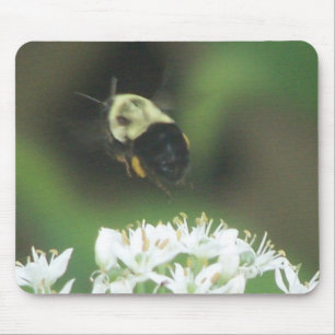 Mousepad Abelha Fora