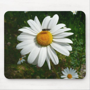 Mousepad Abelha na Daisy Alaskan Summer Nature Photo