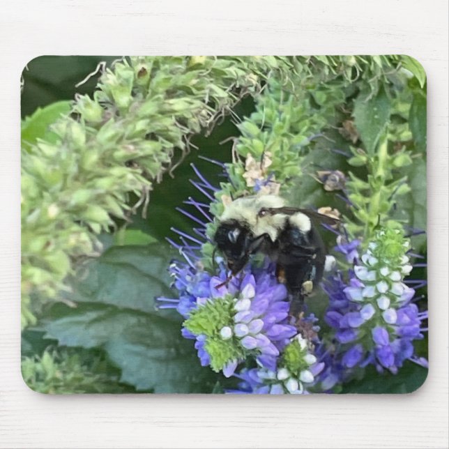 Mousepad Abelha na proteção do mouse da flor púrpura (Frente)