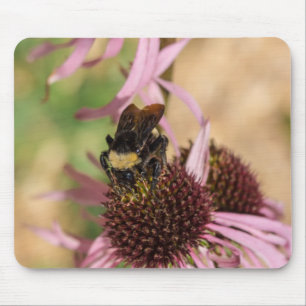 Mousepad Abelha Na Susan Pano De Olho Negro
