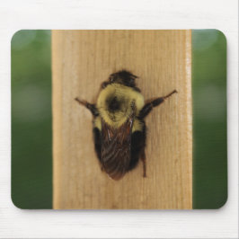 Mousepad Abelha-zilla