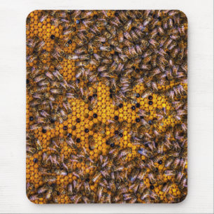 MOUSEPAD ABELHAS DE MEL