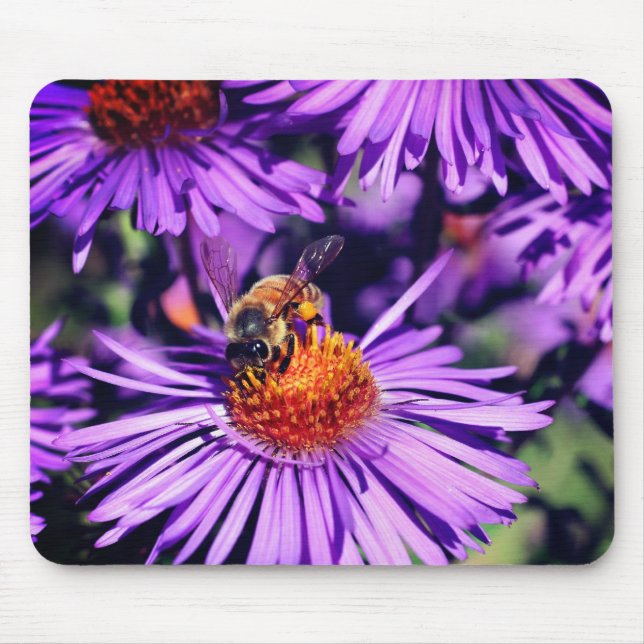 Mousepad Abelhas De Mel Na Flor De Aster Roxo (Frente)
