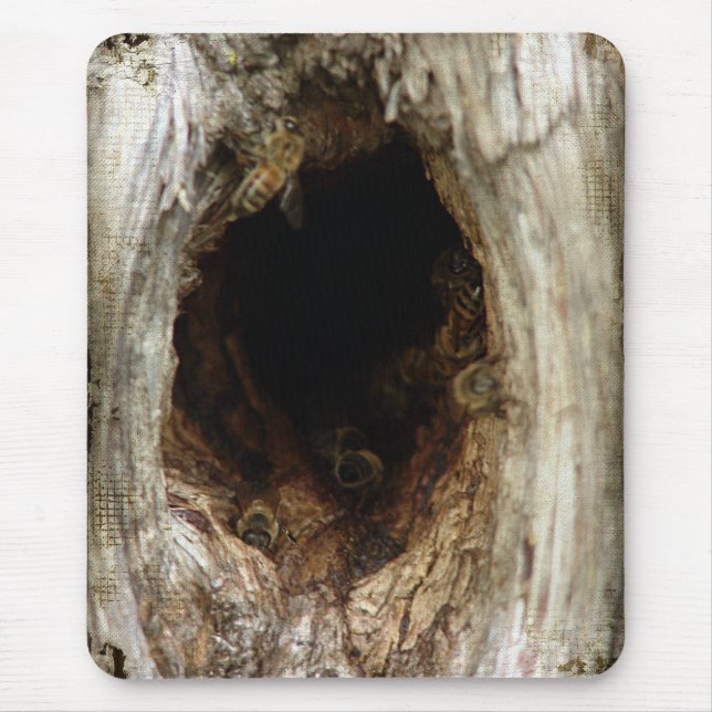 Mousepad Abelhas de Mel Selvagem em uma Árvore Hollow (Frente)