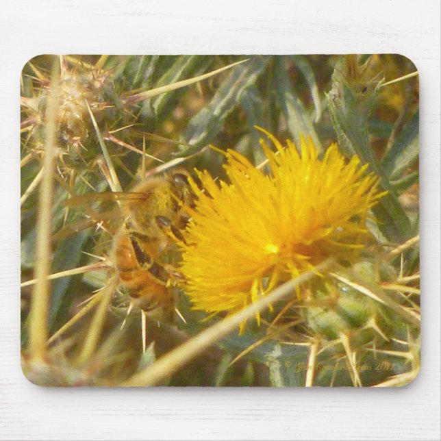 Mousepad Abelhas e Estrelas (Centaurea solstitialis) (Frente)