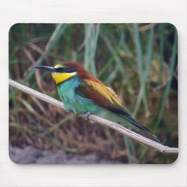 Mousepad Abelhas Europeias (Frente)