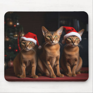 Mousepad Abissínio junto à Lareira de Natal