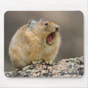 Mousepad Abra largamente