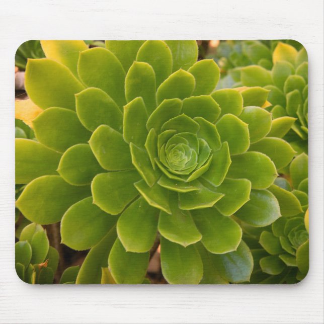 Mousepad Abraço Verde da Madeira (Frente)