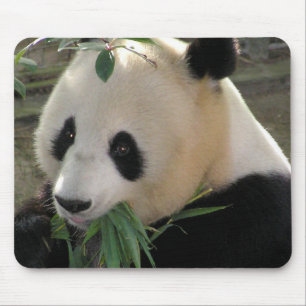 Mousepad Abraços de Urso Panda