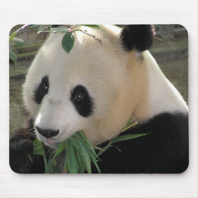 Mousepad Abraços de Urso Panda (Frente)