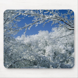 Mousepad Abrigo do inverno