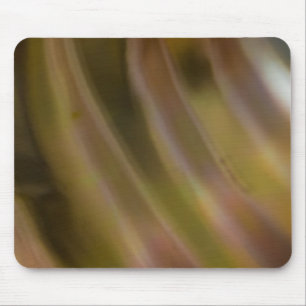Mousepad Abstrato Curva
