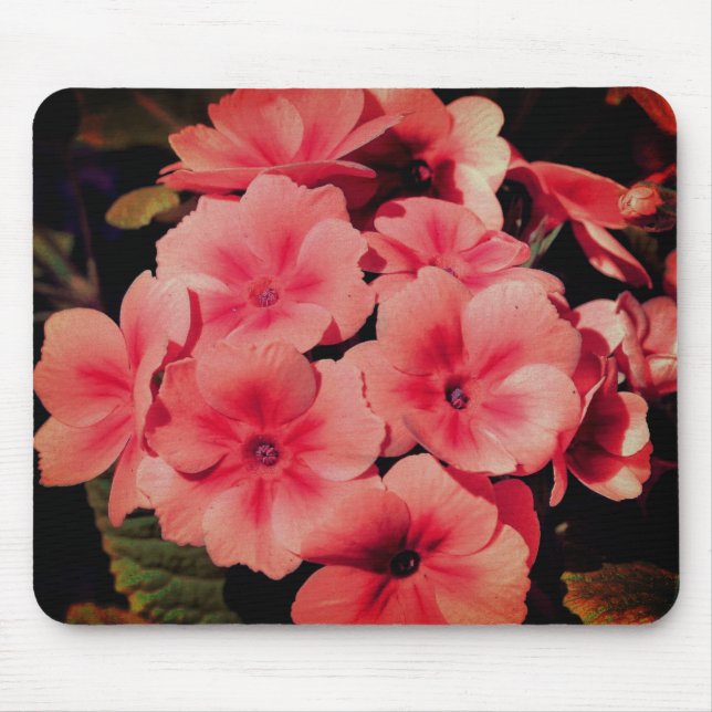 Mousepad Abstrato Peach Primrose Flower Art (Frente)