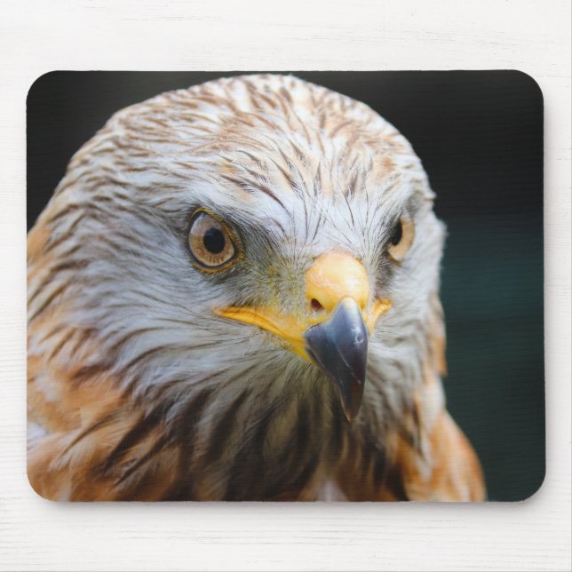 Mousepad abutre, abutre do deserto, pássaro (Frente)