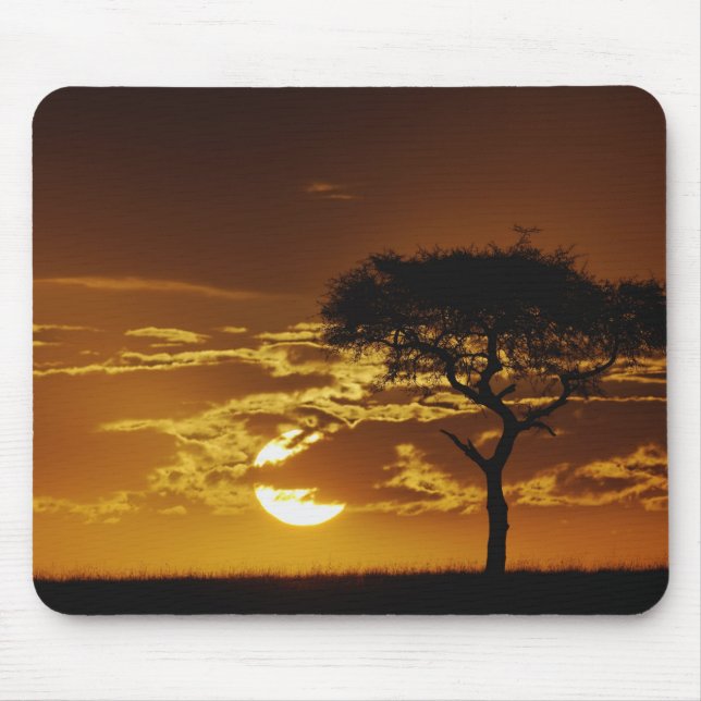Mousepad Acácia Espinho de Guarda-Chuva, Acacia tortilis, (Frente)