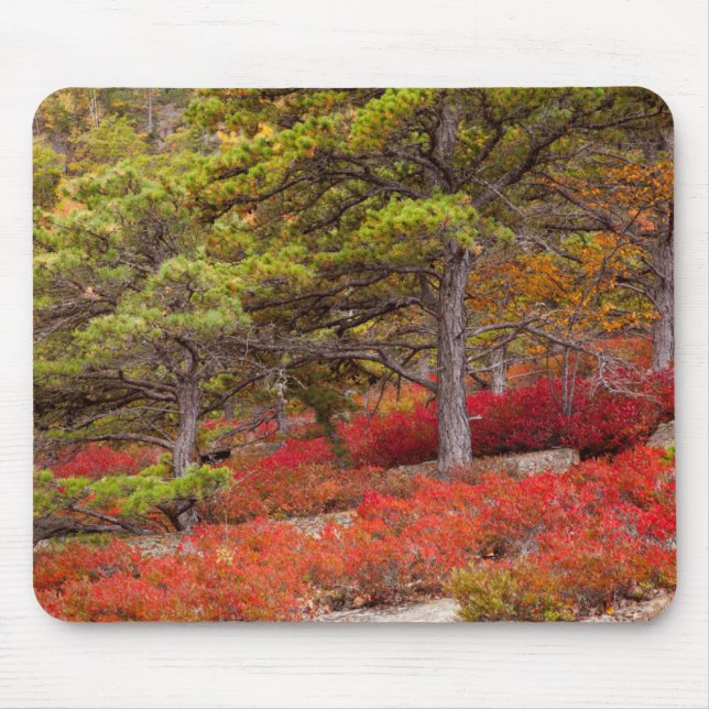 Mousepad Acadia National Park, Maine (Frente)