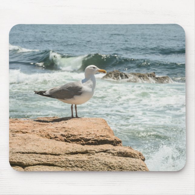 Mousepad Acadia National Park Maine Coast Seagull (Frente)