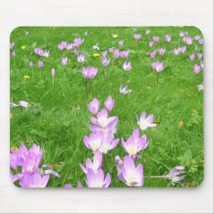 Mousepad Açafrão da queda em Inglaterra