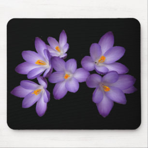 Mousepad Açafrão roxo