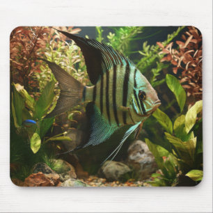 Mousepad Acara-altum listrado