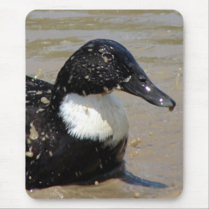 Mousepad Acelere o pato