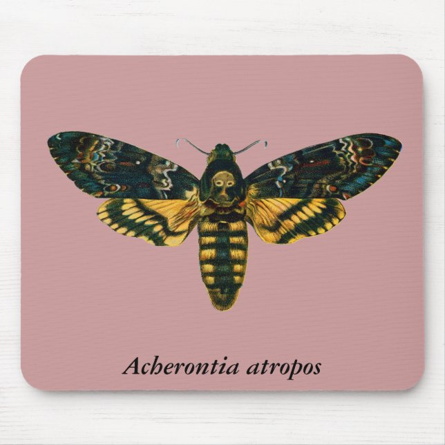 Mousepad Acherontia atropos (Hawkmoth Cabeça da Morte) (Frente)