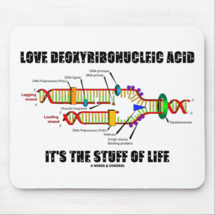 Mousepad Ácido Deoxyribonucleic do amor é o material de