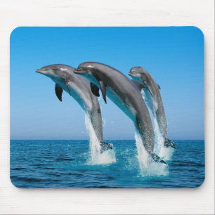 Mousepad Acima dos golfinhos ascendentes ascendentes