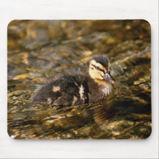 Mousepad Acoplamento