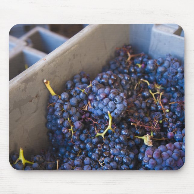 Mousepad Adega Marques de Riscal, uvas (Frente)