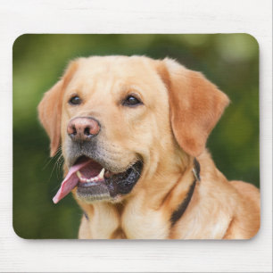 Mousepad Adicionar Foto de Cachorro Pet Personalizada