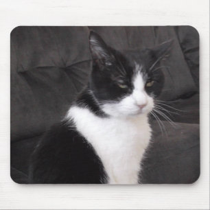 Mousepad Adicione a foto do seu animal de estimação a est