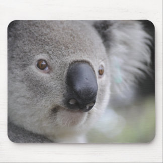 Mousepad Adorable Koala Bear