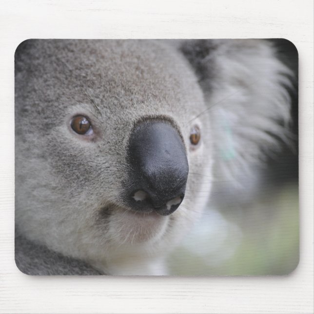 Mousepad Adorable Koala Bear (Frente)